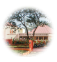 ashram-menu2